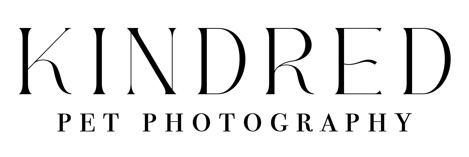 kindred logo text